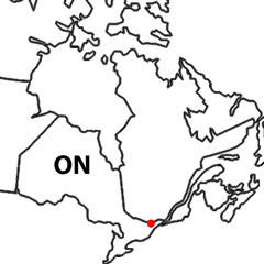 The location of Ottawa in Ontario, Canada