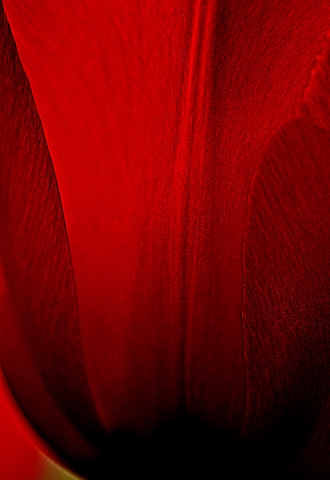 slideshow