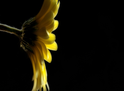 slideshow