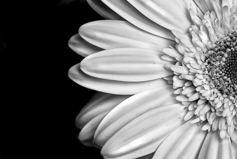 slideshow
