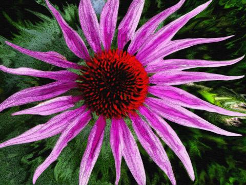 slideshow