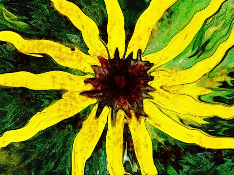 slideshow