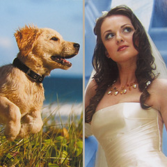 A visual comparison of matte and glossy papers for photography