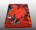 Beautiful red oak tree leaves Beautiful red oak tree leaves